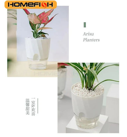 Self Watering Transparent Flower Pot