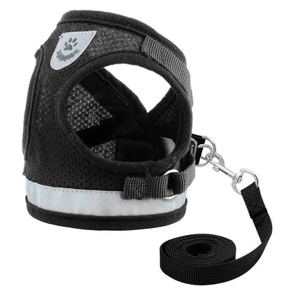 Reflective Mesh Cat and Small Dog Harness Leash Set