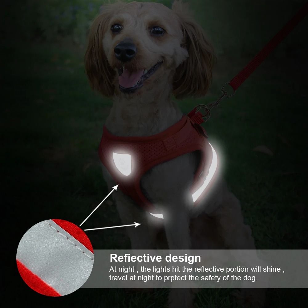 Reflective Mesh Cat and Small Dog Harness Leash Set