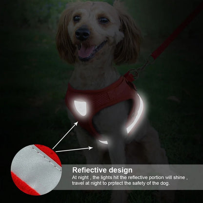 Reflective Mesh Cat and Small Dog Harness Leash Set