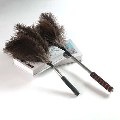 Extendable Ostrich Feather Dust Duster with Long Handle