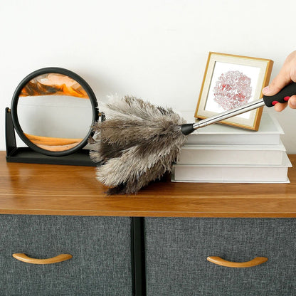 Extendable Ostrich Feather Dust Duster with Long Handle