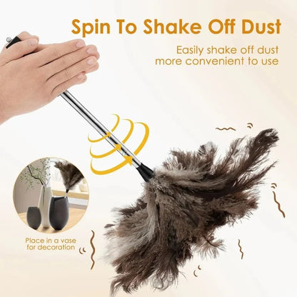 Extendable Ostrich Feather Dust Duster with Long Handle
