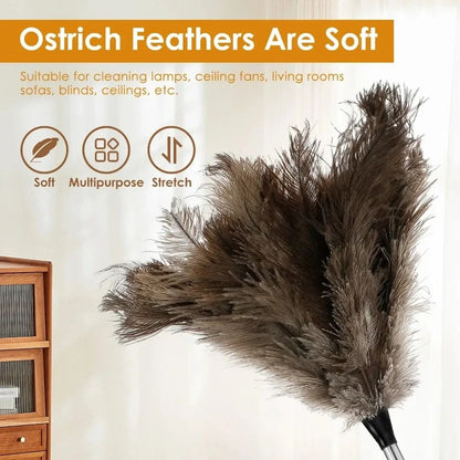 Extendable Ostrich Feather Dust Duster with Long Handle