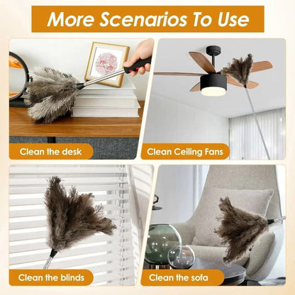 Extendable Ostrich Feather Dust Duster with Long Handle