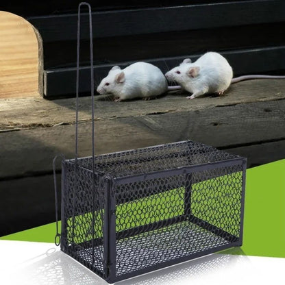Self-Locking Humane Metal Mouse Trap Cage - Reusable Indoor/Outdoor Rat Catcher with Secure Iron Mesh
