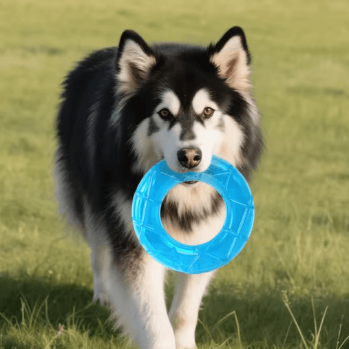 Pet Cooling Chew Toy Freezable Ice Cube Puppy Teething and Training Toy
