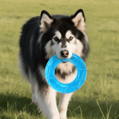 Pet Cooling Chew Toy Freezable Ice Cube Puppy Teething and Training Toy