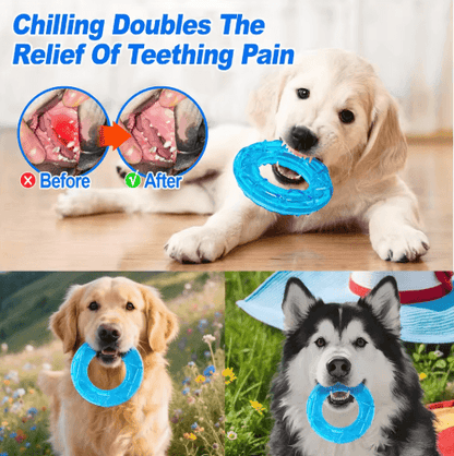 Pet Cooling Chew Toy Freezable Ice Cube Puppy Teething and Training Toy