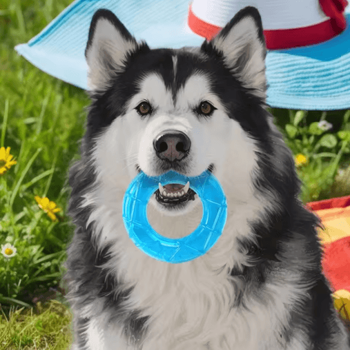Pet Cooling Chew Toy Freezable Ice Cube Puppy Teething and Training Toy