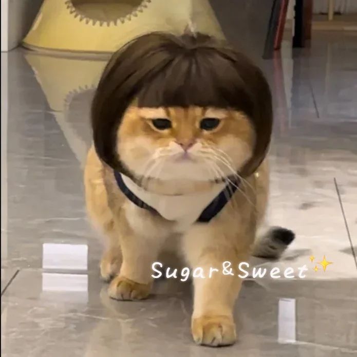 Funny Dog Wig with Bangs & Braids – Adjustable Pet Cosplay Wig for Cats & Dogs, Party Costume Headgear