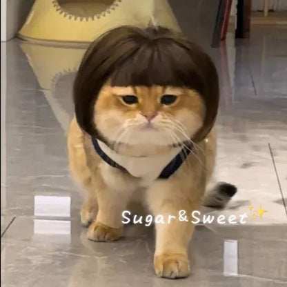 Funny Dog Wig with Bangs & Braids – Adjustable Pet Cosplay Wig for Cats & Dogs, Party Costume Headgear