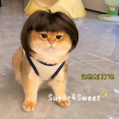 Funny Dog Wig with Bangs & Braids – Adjustable Pet Cosplay Wig for Cats & Dogs, Party Costume Headgear