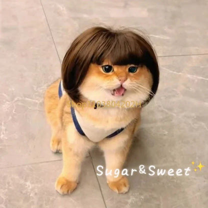 Funny Dog Wig with Bangs & Braids – Adjustable Pet Cosplay Wig for Cats & Dogs, Party Costume Headgear