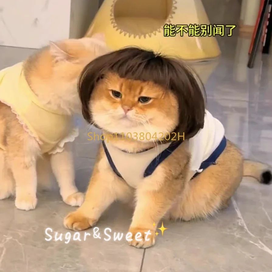 Funny Dog Wig with Bangs & Braids – Adjustable Pet Cosplay Wig for Cats & Dogs, Party Costume Headgear