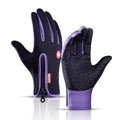 upgrade purple