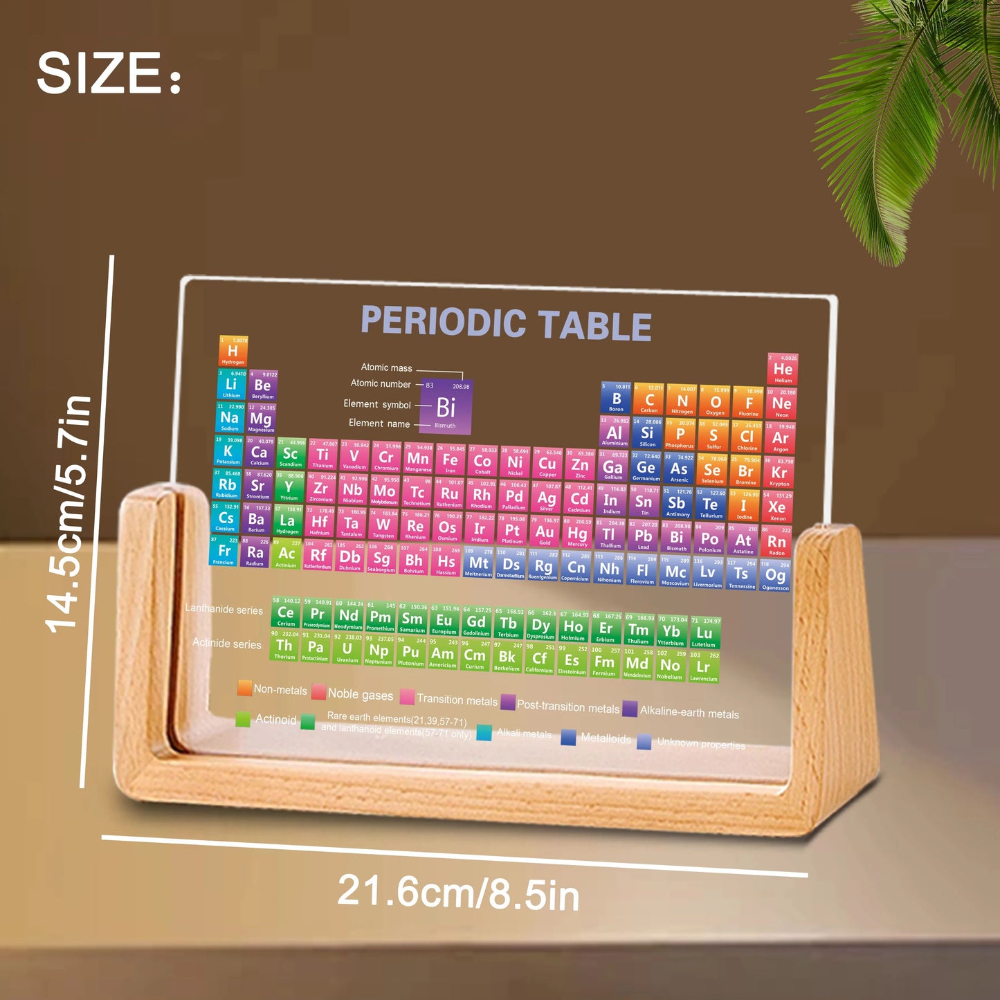 Acrylic Periodic Table with Real Elements and Wooden Base