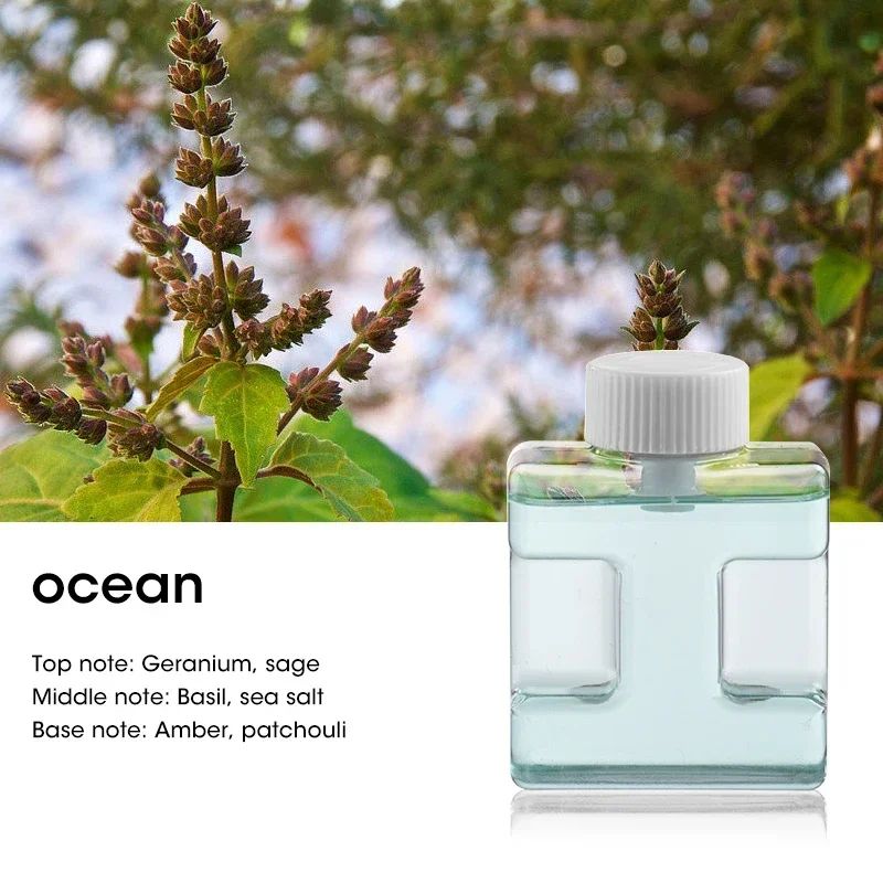 Ultrasonic Essential Oil Diffuser 50ml – Portable Aromatherapy Diffuser & Mini Humidifier for Bedroom, Office, Travel
