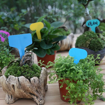 Waterproof Garden Plant Labels White Plastic Writing Tags Set Of 100