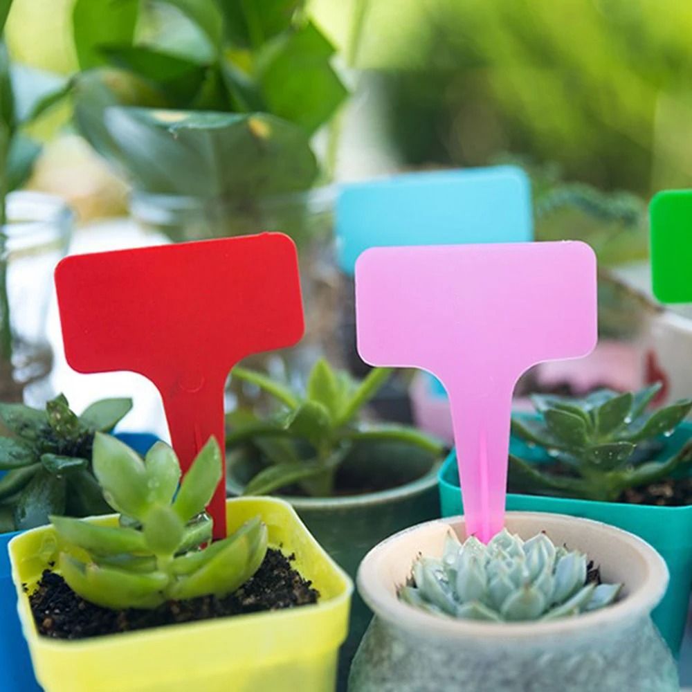 Waterproof Garden Plant Labels White Plastic Writing Tags Set Of 100