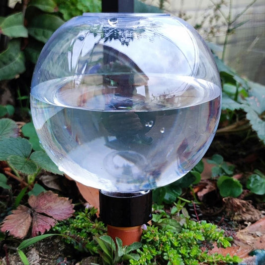 Spherical Automatic Plant Watering Globes Succulent Dripper Set Of 2 Or 4