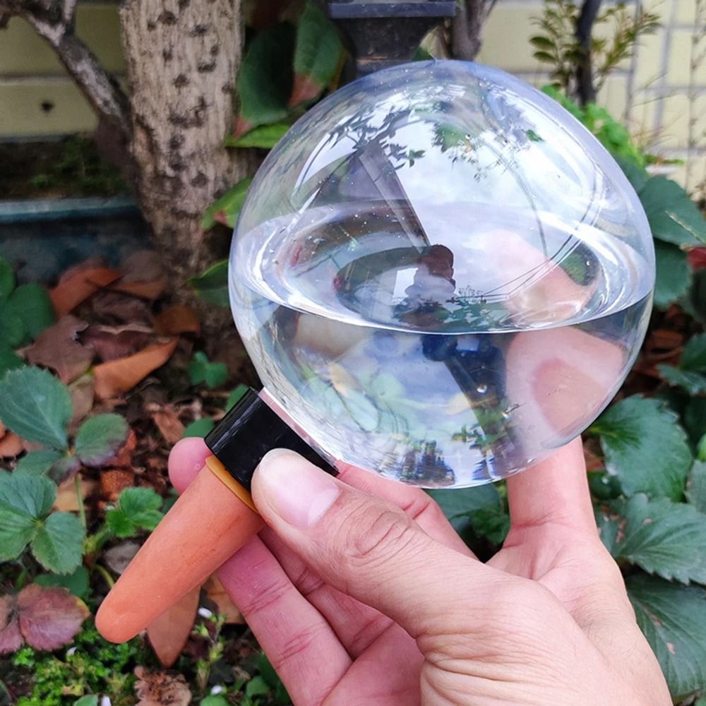 Spherical Automatic Plant Watering Globes Succulent Dripper Set Of 2 Or 4