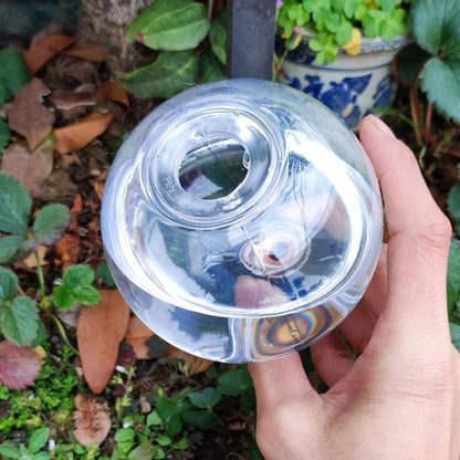 Spherical Automatic Plant Watering Globes Succulent Dripper Set Of 2 Or 4