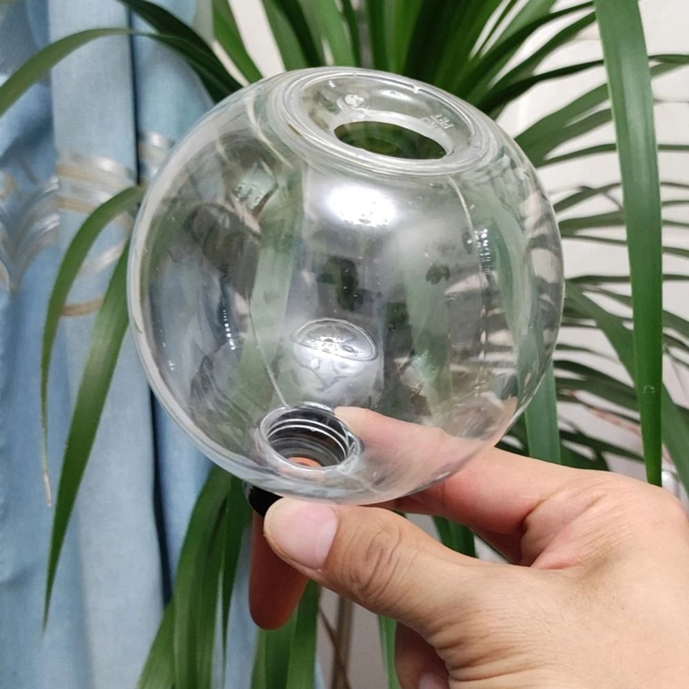 Spherical Automatic Plant Watering Globes Succulent Dripper Set Of 2 Or 4