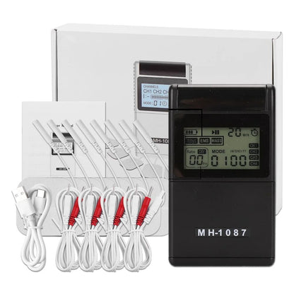 Professional Dual Channel TENS and EMS Pulse Therapy System