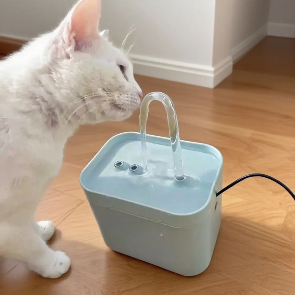 Automatic Filtered Pet Drinking Fountain