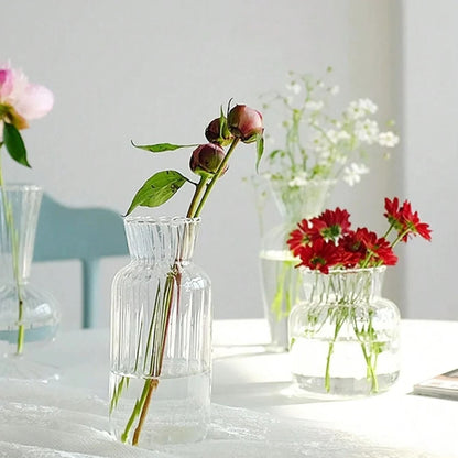 Nordic High Borosilicate Glass Hydroponic Terrarium