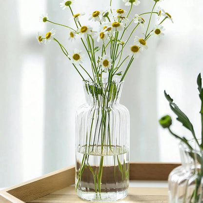 Nordic High Borosilicate Glass Hydroponic Terrarium