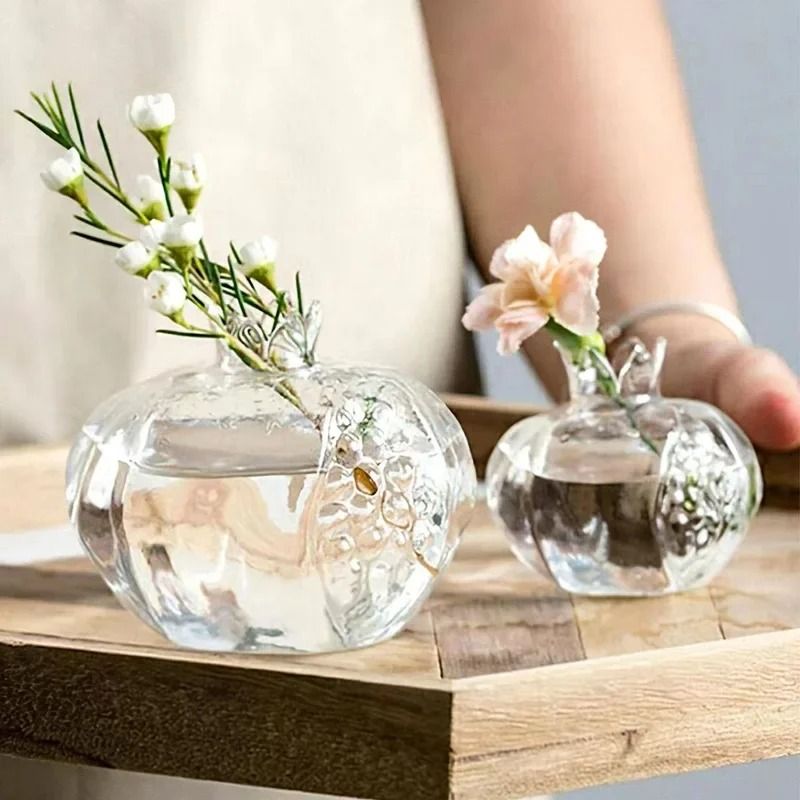 Mini Pomegranate Glass Hydroponic Vase and Desktop Planter