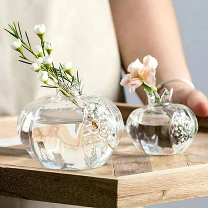 Mini Pomegranate Glass Hydroponic Vase and Desktop Planter