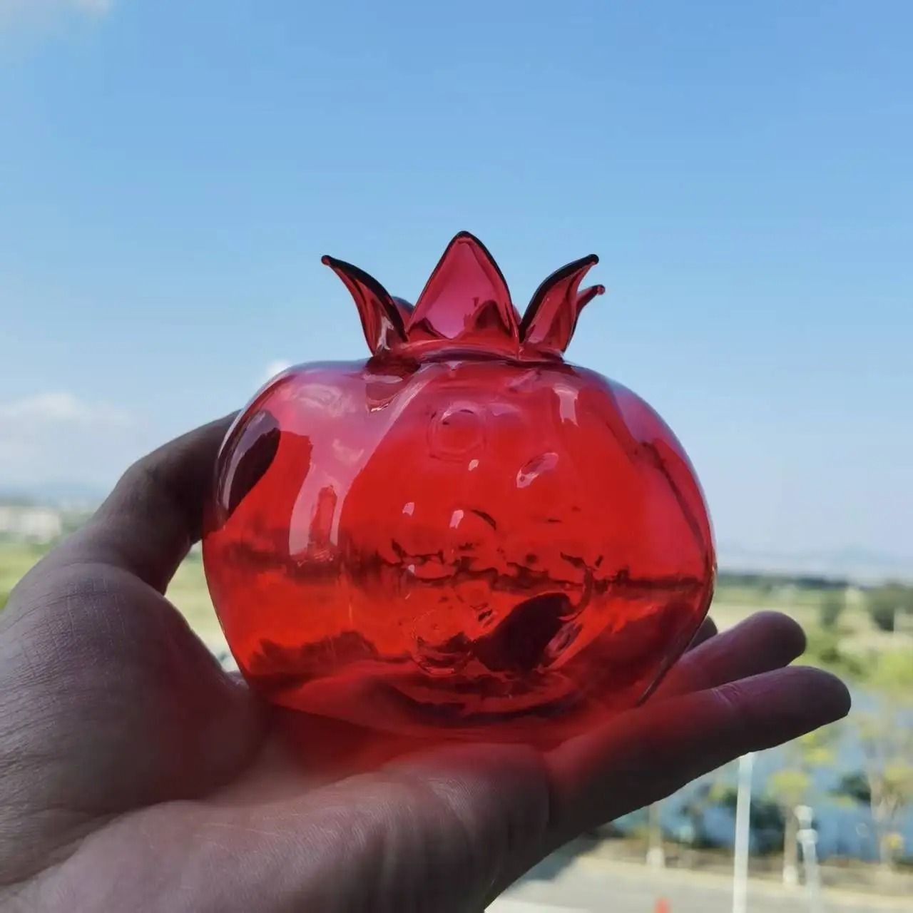 Mini Pomegranate Glass Hydroponic Vase and Desktop Planter