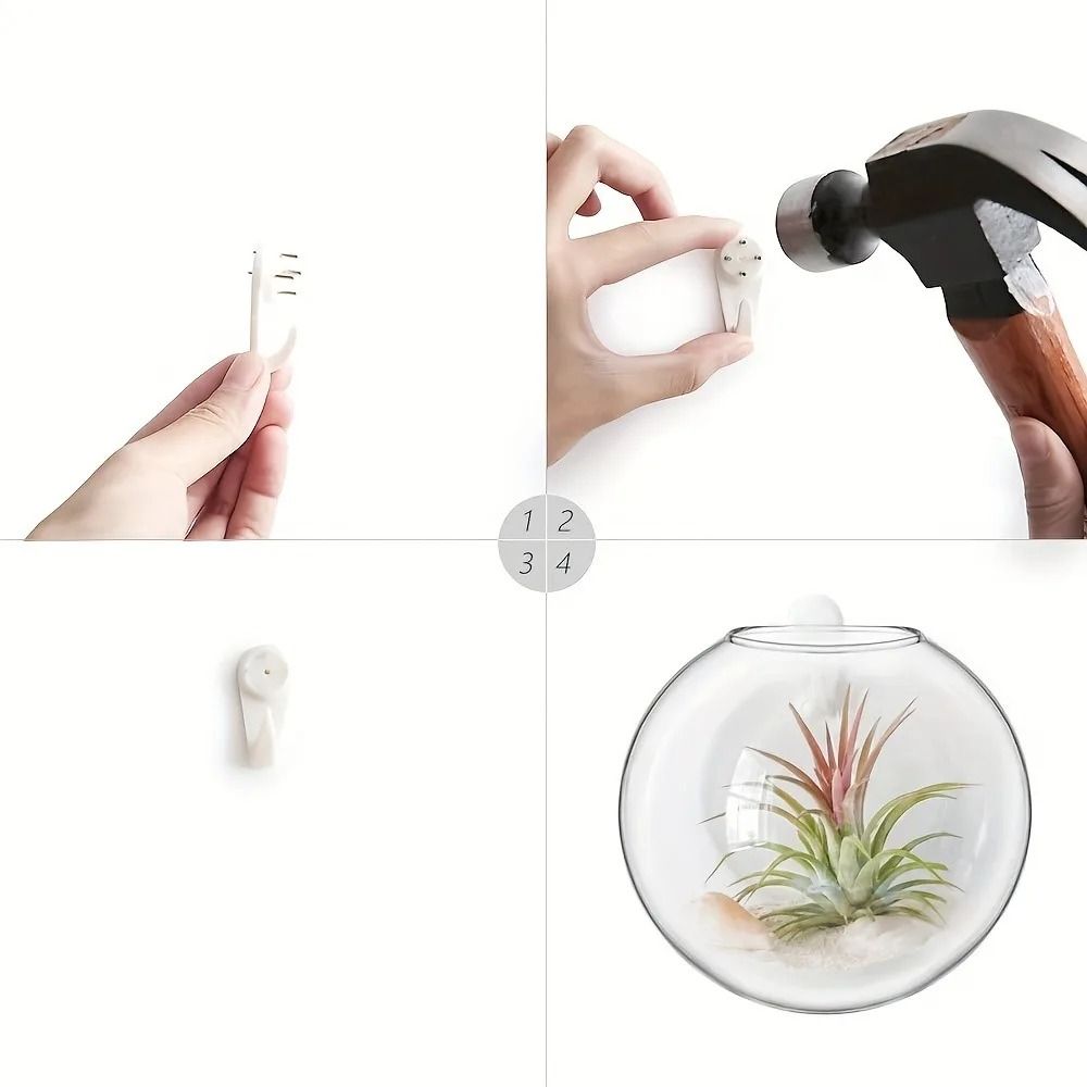 Large Pomegranate Glass Hydroponic Vase