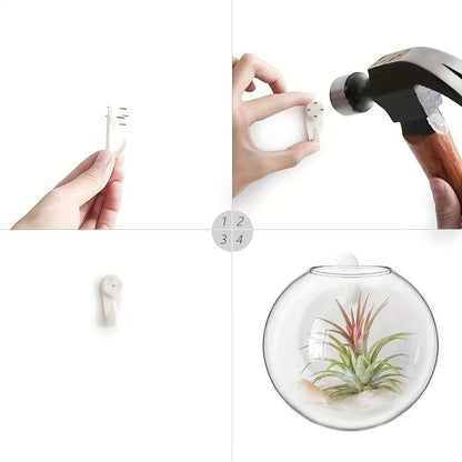 Large Pomegranate Glass Hydroponic Vase
