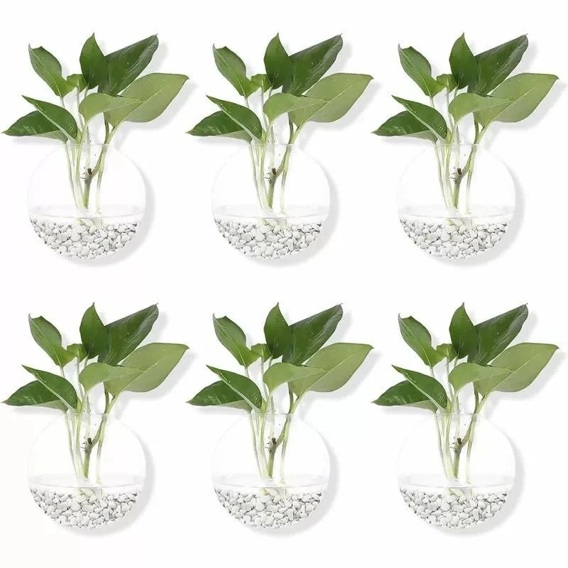 2 Pack Wall Hanging Glass Terrarium and Hydroponic Planter