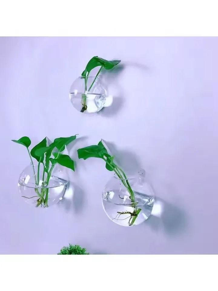 2 Pack Wall Hanging Glass Terrarium and Hydroponic Planter
