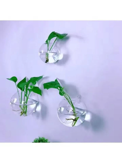 2 Pack Wall Hanging Glass Terrarium and Hydroponic Planter