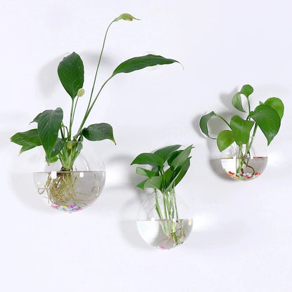 2 Pack Wall Hanging Glass Terrarium and Hydroponic Planter