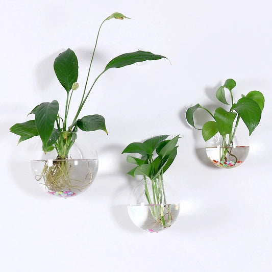 2 Pack Wall Hanging Glass Terrarium and Hydroponic Planter