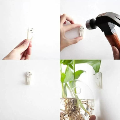 2 Pack Wall Hanging Glass Terrarium and Hydroponic Planter