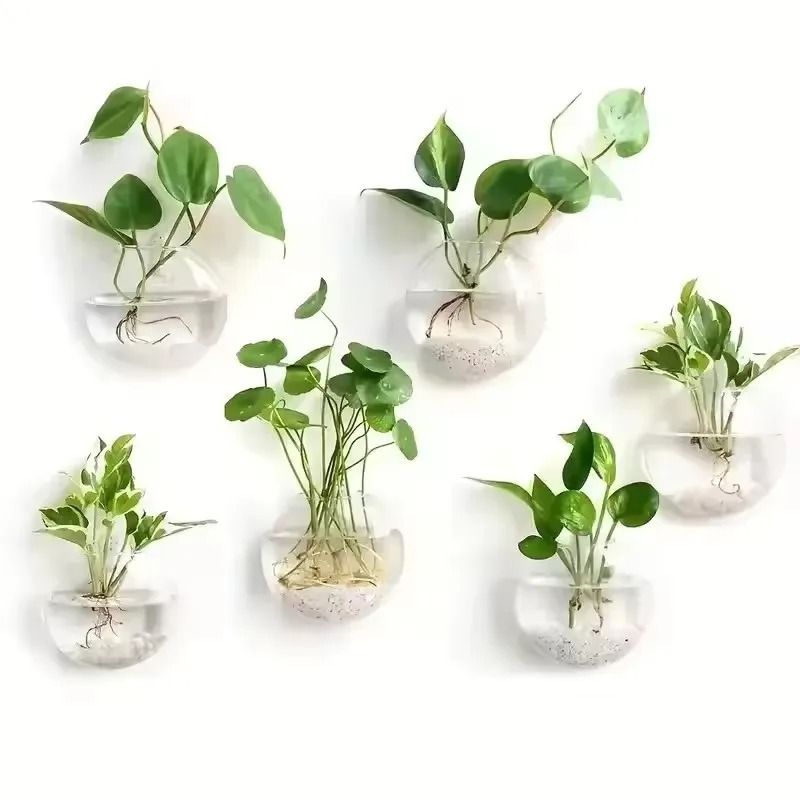 2 Pack Wall Hanging Glass Terrarium and Hydroponic Planter