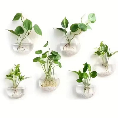 2 Pack Wall Hanging Glass Terrarium and Hydroponic Planter