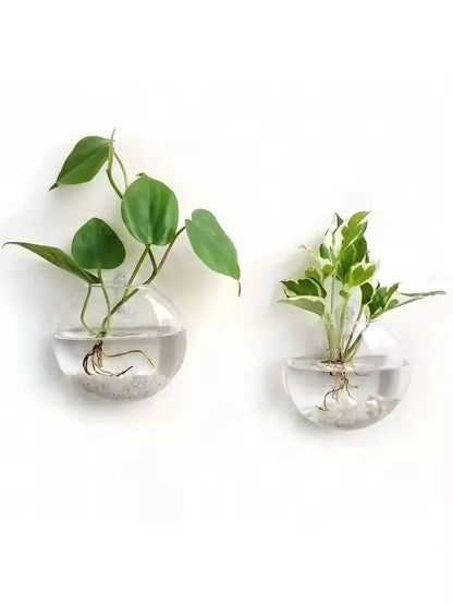 2 Pack Wall Hanging Glass Terrarium and Hydroponic Planter