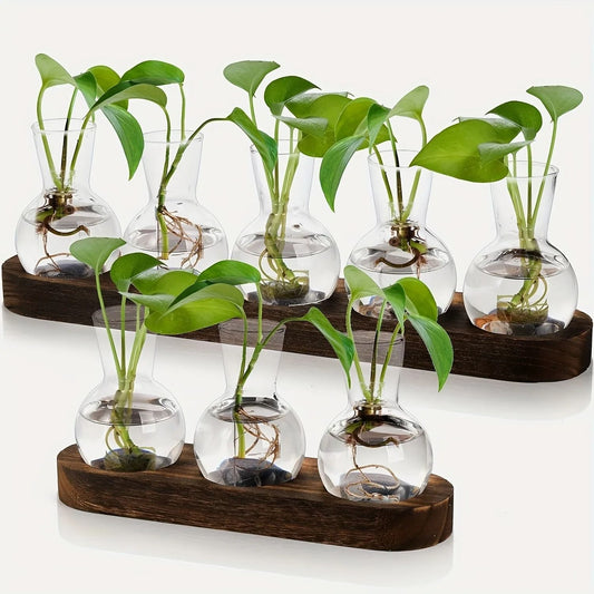 Modern Plant Terrarium Glass Vase with Wooden Tray