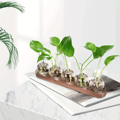 Modern Plant Terrarium Glass Vase with Wooden Tray