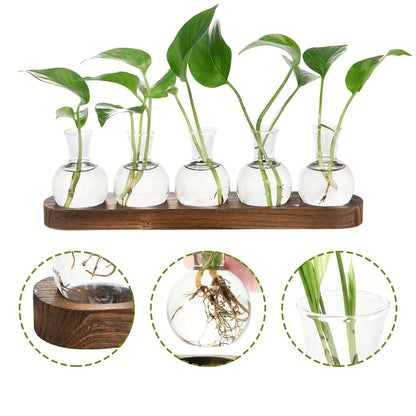 Modern Plant Terrarium Glass Vase with Wooden Tray
