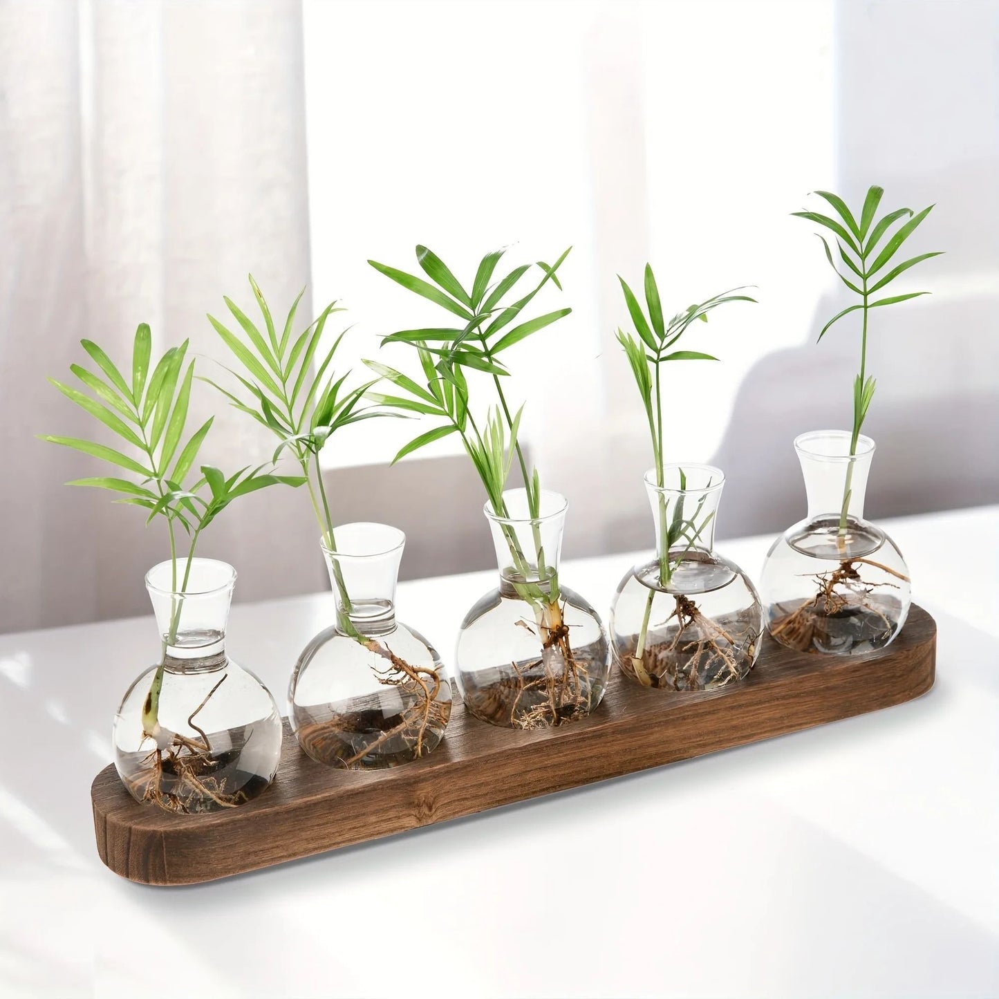 Modern Plant Terrarium Glass Vase with Wooden Tray